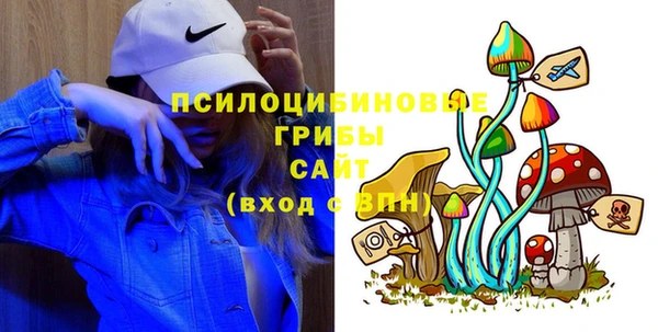 PSILOCYBIN Белоозёрский