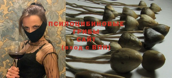 PSILOCYBIN Белоозёрский